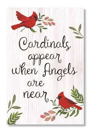 Spiritual Significance of Cardinals and Angels