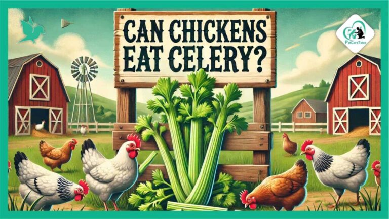 How to Prepare Celery for Chickens